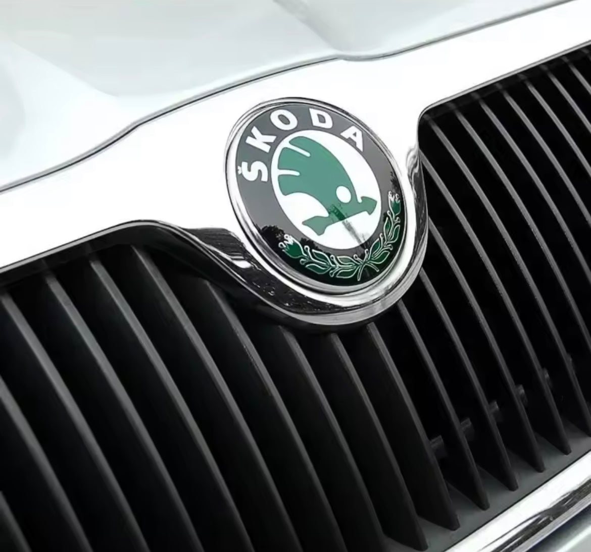 Emblème de logo Skoda 3U0853621B